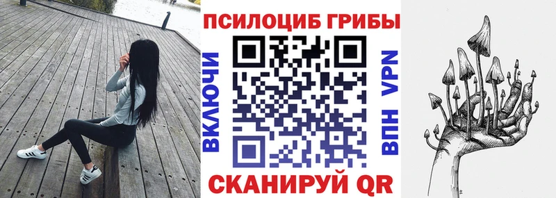 цены   Рыбинск  Галлюциногенные грибы прущие грибы 
